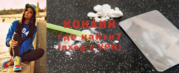 гашик Нея