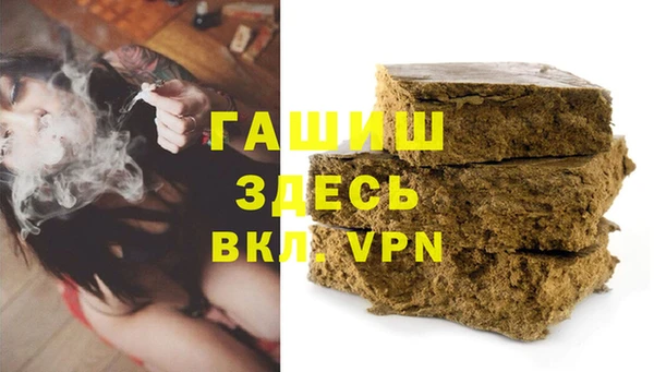 PSILOCYBIN Алзамай