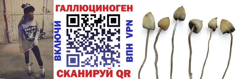 Псилоцибиновые грибы прущие грибы Сорочинск